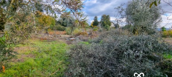 Земельный участок в Визеу, Португалия № 65889 3