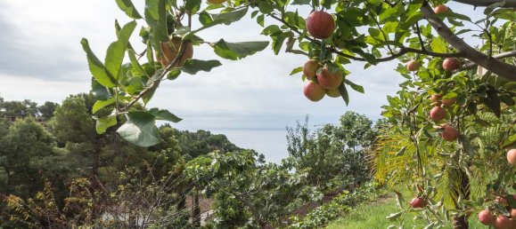 6 bedrooms Villa in Tossa de Mar, Spain No. 812 4