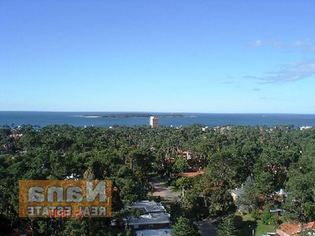 4 bedrooms Apartment in Maldonado, Uruguay No. 7923