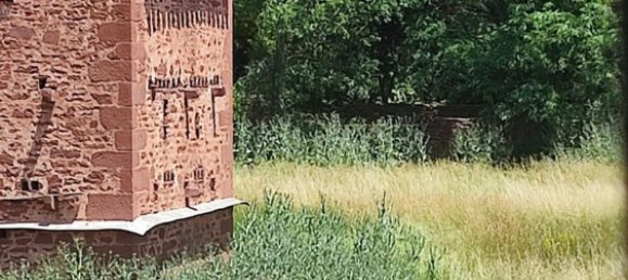 5 bedrooms House in Teruel, Spain No. 164412 14