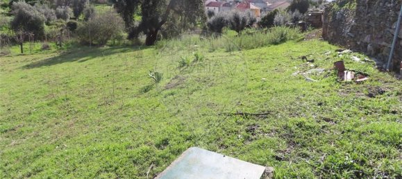 2 bedrooms House in Castelo Branco, Portugal No. 157371 43