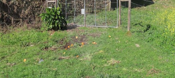 2 bedrooms House in Castelo Branco, Portugal No. 157371 40