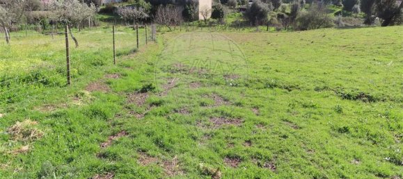 2 bedrooms House in Castelo Branco, Portugal No. 157371 42