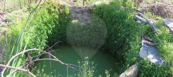 2 bedrooms House in Castelo Branco, Portugal No. 157371 23