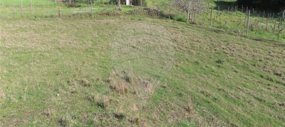 2 bedrooms House in Castelo Branco, Portugal No. 157371 36