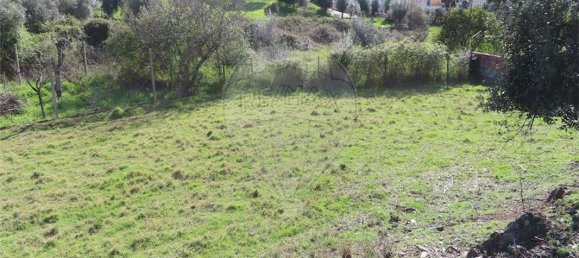 2 bedrooms House in Castelo Branco, Portugal No. 157371 35