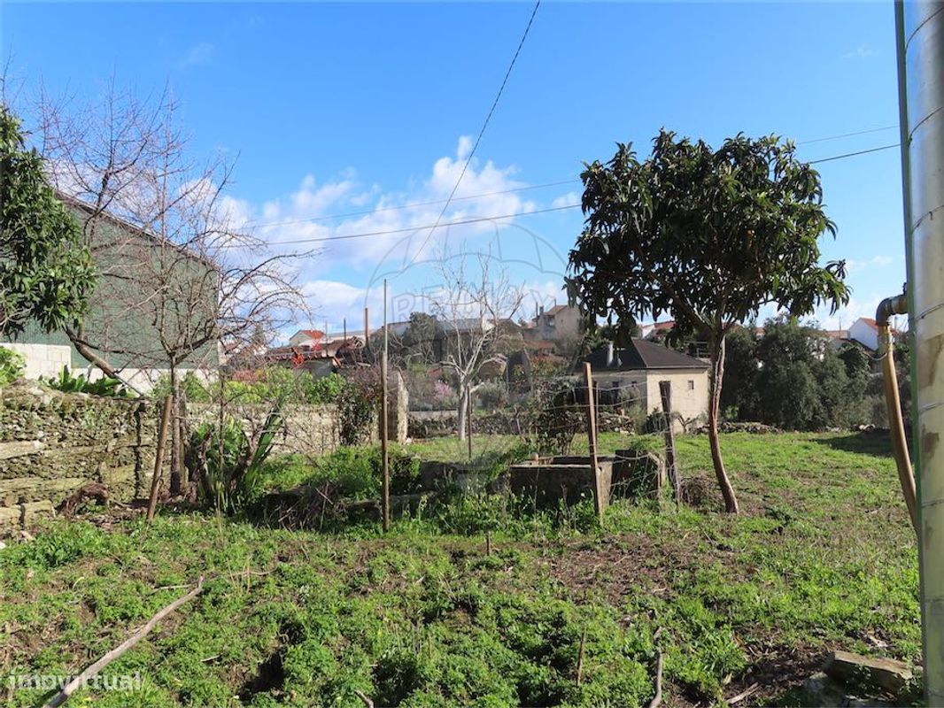 2 bedrooms House in Castelo Branco, Portugal No. 157371