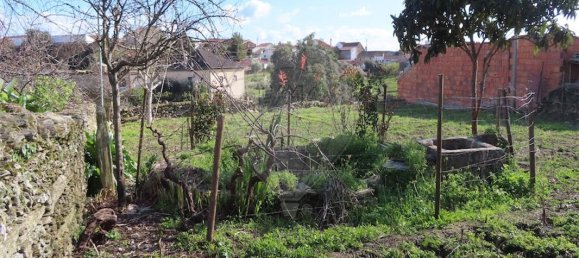 2 bedrooms House in Castelo Branco, Portugal No. 157371 20