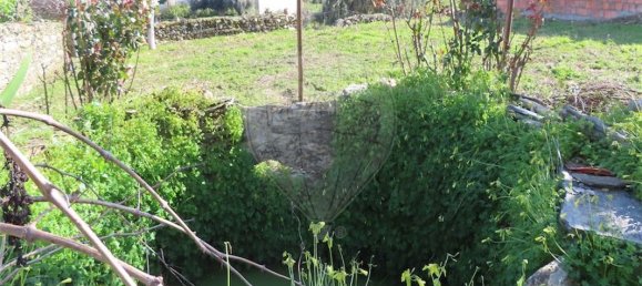 2 bedrooms House in Castelo Branco, Portugal No. 157371 24