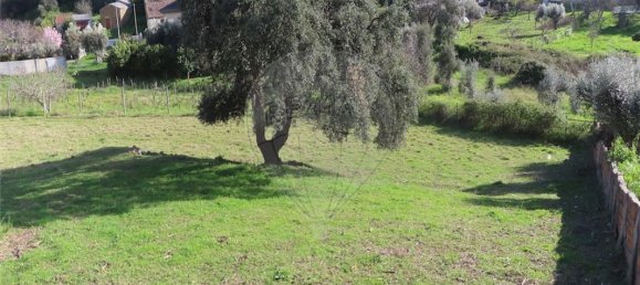 2 bedrooms House in Castelo Branco, Portugal No. 157371 32