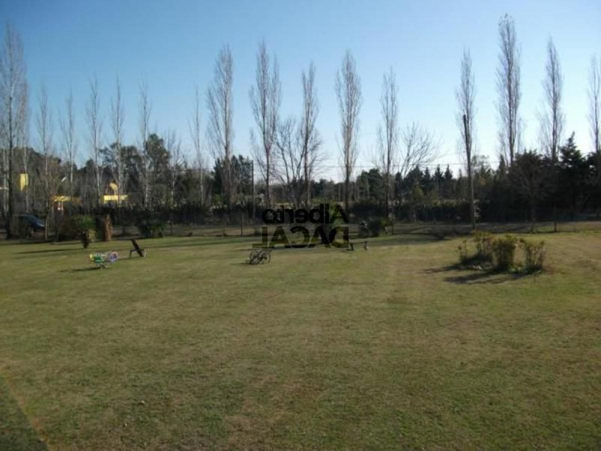  Land in Campo Creado, Argentina No. 34987
