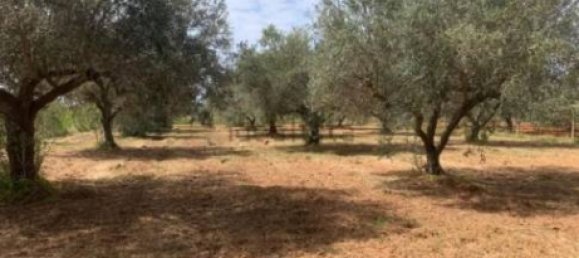 Terreno em Caltagirone, Italy 18 m² N.º 359113 5