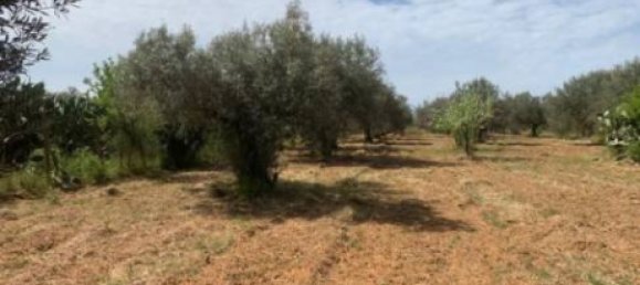 Terreno em Caltagirone, Italy 18 m² N.º 359113 3