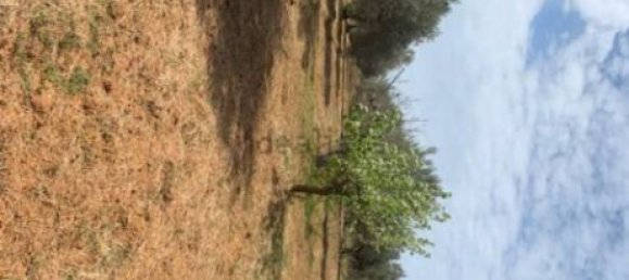 Terreno em Caltagirone, Italy 18 m² N.º 359113 2