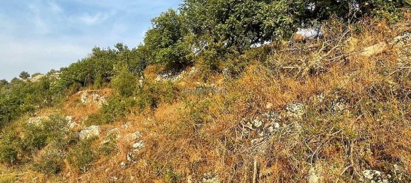 18468m² Land in Modica, Italy No. 232630 15