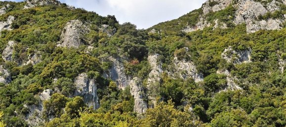 9500m² Hotel in Corfu, Greece No. 5010 4