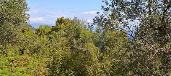 9500m² Hotel in Corfu, Greece No. 5010 5