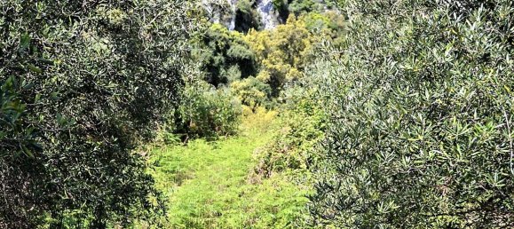 9500m² Hotel in Corfu, Greece No. 5010 6