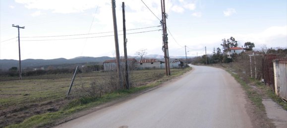 18800m² Hotel in Chalkidiki, Greece No. 8176 4