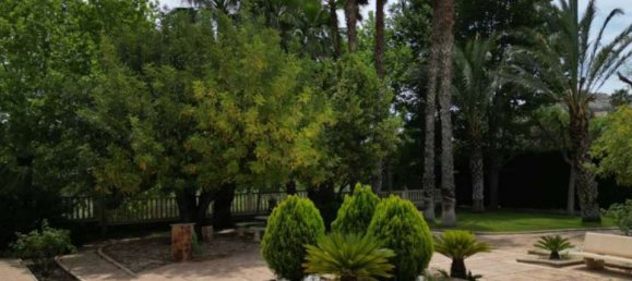 5 Schlafzimmer Villa in Monovar, Spain, Nr. 184768 13