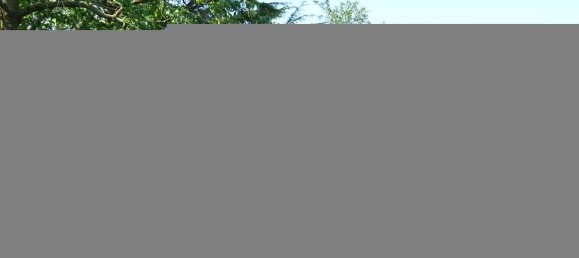 3-salle Maison à Udine, Italy No. 81679 16