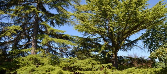 3-salle Maison à Udine, Italy No. 81679 17