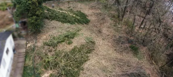 Земельный участок в Бергштрасе, Германия № 159866 6