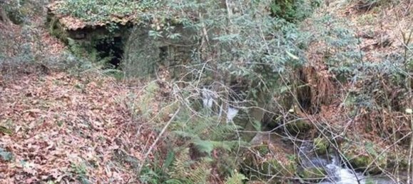 1 bedroom House in Valdreu, Portugal No. 160628 23