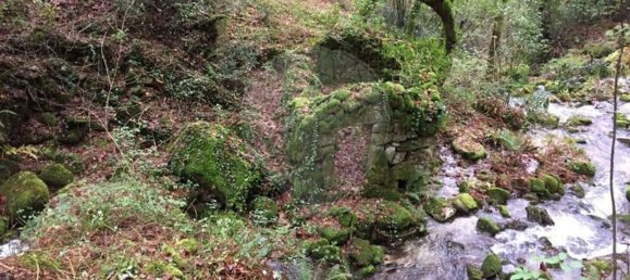 1 bedroom House in Valdreu, Portugal No. 160628 22