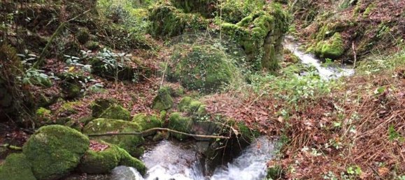 1 bedroom House in Valdreu, Portugal No. 160628 21