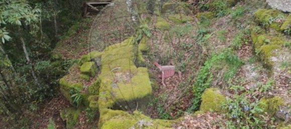 1 bedroom House in Valdreu, Portugal No. 160628 28