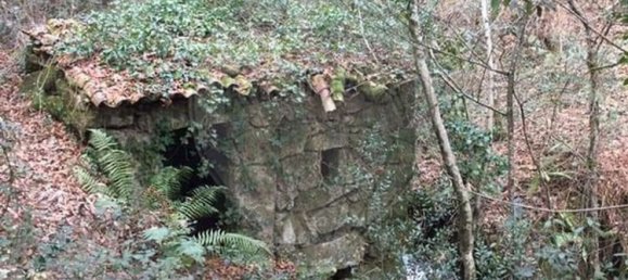 1 bedroom House in Valdreu, Portugal No. 160628 7