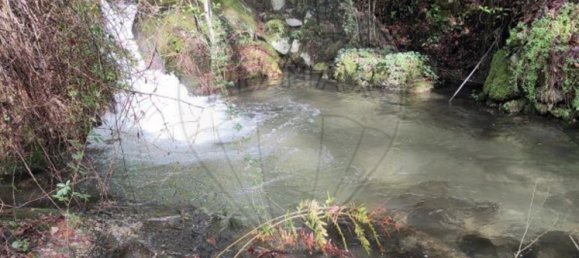 1 bedroom House in Valdreu, Portugal No. 160628 27