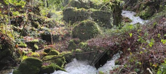 1 bedroom House in Valdreu, Portugal No. 160628 26