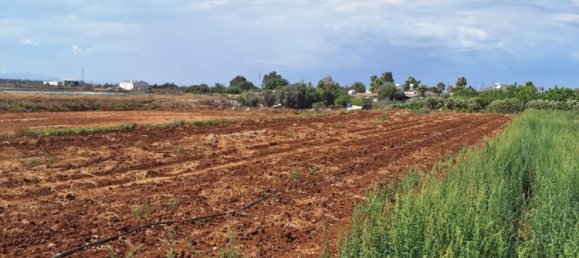 3087m² Land for sale in Xylofagou, Larnaka, Cyprus № 181212 2