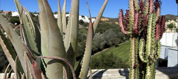 2 غرف نوم بانتهاوس في Marbella, Spain رقم 147252 26