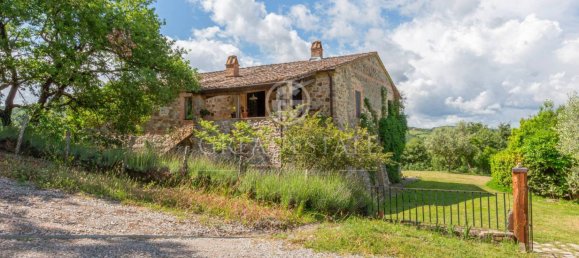 5 bedrooms House in San Casciano dei Bagni, Italy No. 27501 27