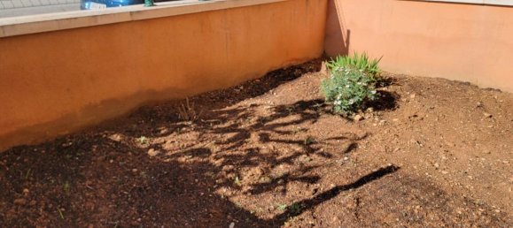 1 chambre Appartement à Torrevieja, Spain No. 150871 21