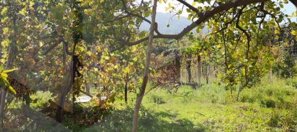 5 rooms Villa in Somma Vesuviana, Italy No. 22662 5