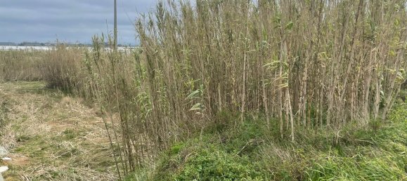 3714m² Land in Povoa de Varzim, Portugal No. 57839 5