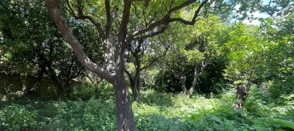 Квартира с 3 спальнями в Витулацио, Италия № 171848 9