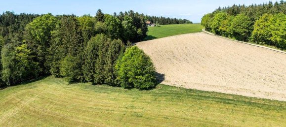 10 rooms House in Maria Schmolln, Austria No. 112112 41