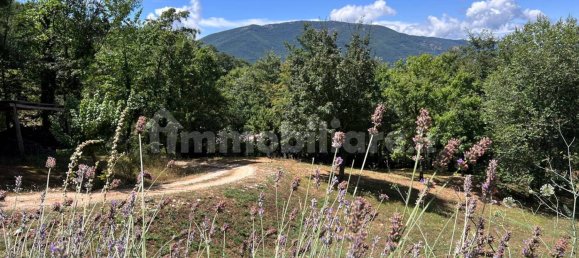 4 chambres Maison à Cottanello, Italy No. 114543 44