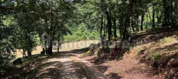 4 chambres Maison à Cottanello, Italy No. 114543 45