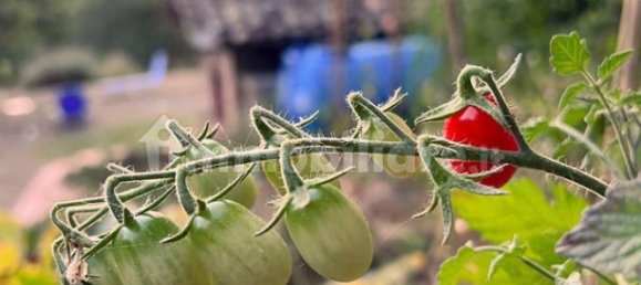 4 chambres Maison à Cottanello, Italy No. 114543 32