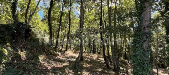 4 chambres Maison à Cottanello, Italy No. 114543 35