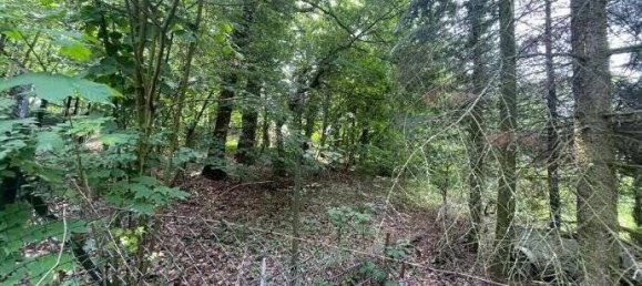 Terreno em Burgenlandkreis, Germany N.º 53641 2