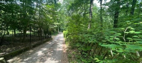 Terreno em Burgenlandkreis, Germany N.º 53641 3