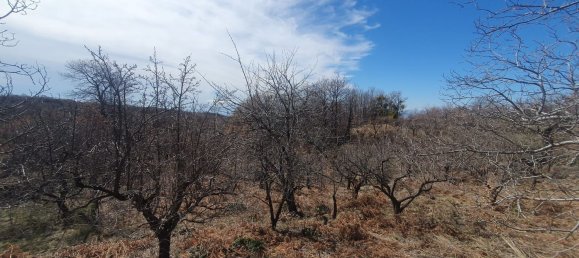 Дом с 4 комнатами в Рагальна, Италия № 162557 7