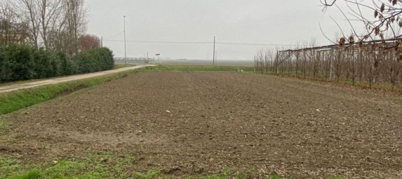 2 rooms Warehouse in Finale Emilia, Italy No. 138686 9